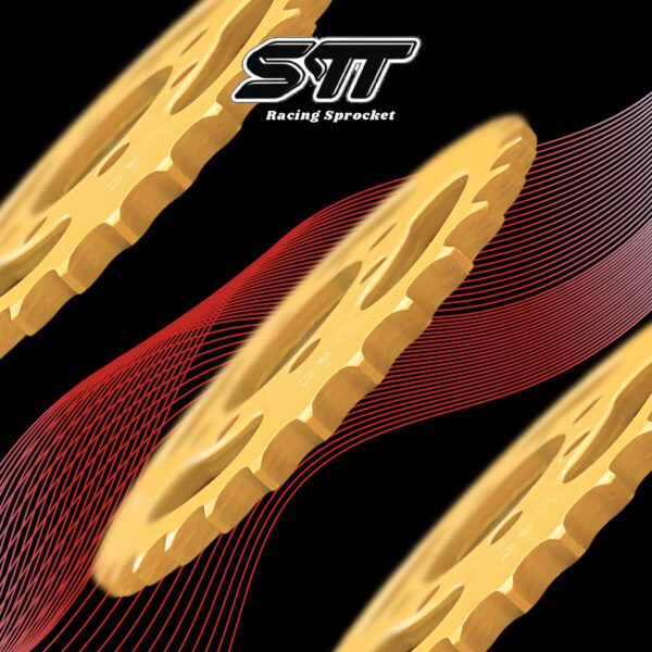 GOLD 428 - RC80 / RC110 / RG125 / RGV125 [SUZUKI] - Image 3