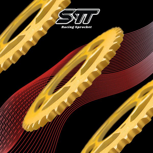 Gold 428 - TNT135 [BENELI] / SM SPORT 110R [SYM] / 150S / CAFE RACER 152 / K LIGHT202 / RKV200G - Image 3