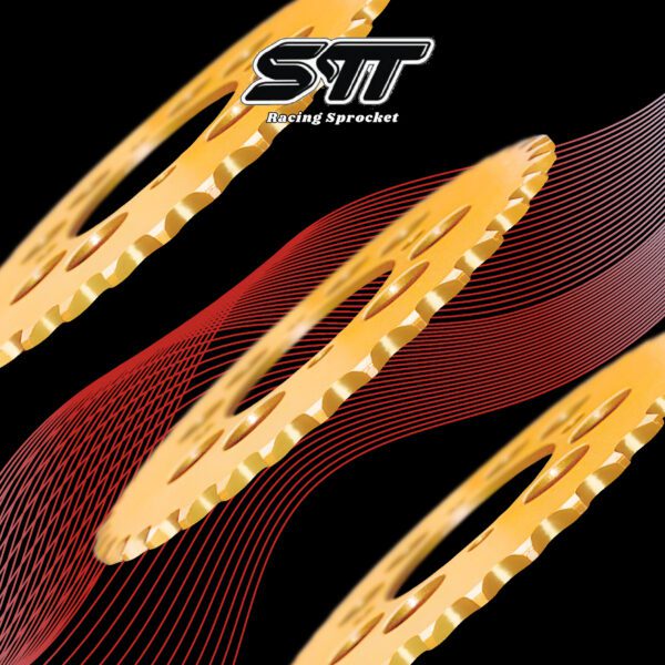 GOLD 415 -  LC135V1~V8 / LC135 ES / RXZ / Y100 / Y110 / SS / Y125Z [YAMAHA] / Y15ZR / Y16ZR / MATRIX SPORT / EVO-Z [DEMAK] / LC - Image 3